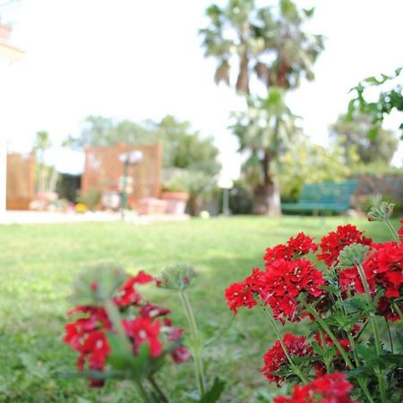 Villa Regina B&B Nettuno Extérieur photo