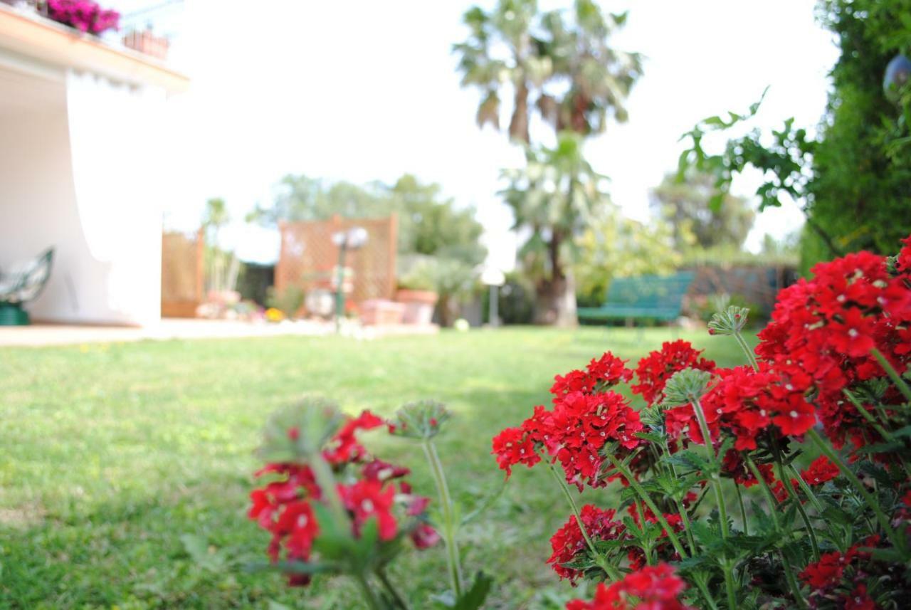 Villa Regina B&B Nettuno Extérieur photo